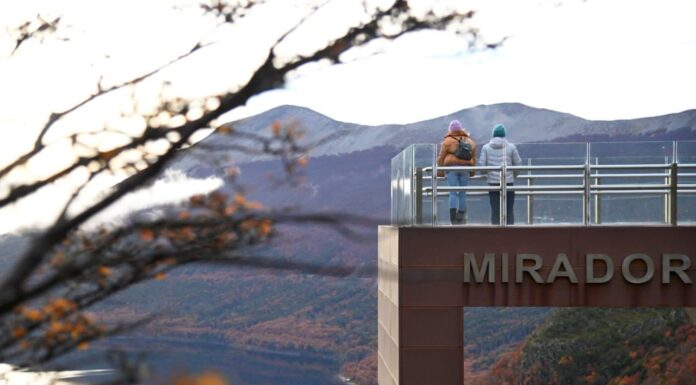 Desde el InFueTur invita a alojamientos, agencias y comercios a sumarse al programa de beneficios “Otoño del Fuego”