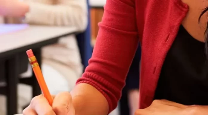 Becas Académicas 2024: segundo pago de la quinta cuota