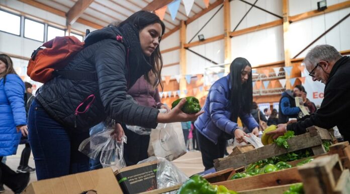 Nueva edición de “Tu Mercado TDF” este fin de semana en Río Grande y Ushuaia