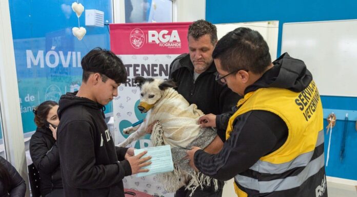 El Municipio realizará una nueva jornada de Vacunación Antirrábica y Chipeo