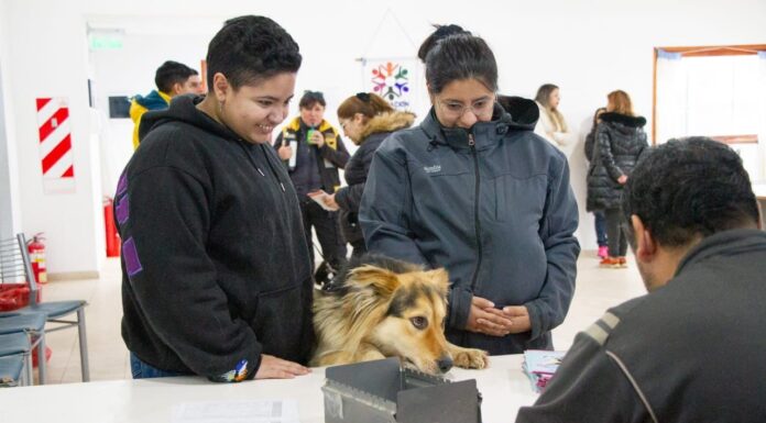 RGA mascotera: 350 intervenciones en la jornada de vacunación antirrábica y chipeo