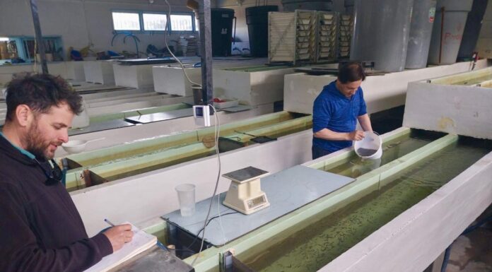 La Estación de Piscicultura «Río Olivia» cumplió su 50° aniversario