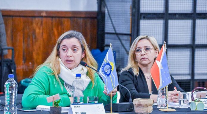 Tierra del Fuego presentó el nuevo Centro Provincial de Rehabilitación en la Asamblea del Consejo Federal de Discapacidad