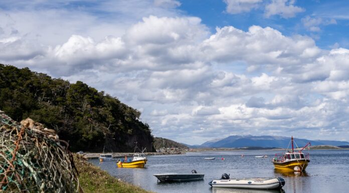 Recomendaciones para la compra de productos de mar a pescadores artesanales