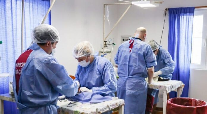 Se llevará adelante una nueva jornada de castración para caninos