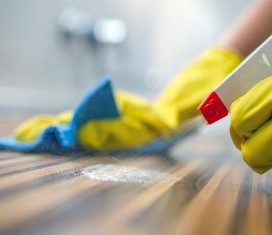 Cuál será el sueldo de la empleada doméstica en marzo: convocan para analizar la actualización salarial