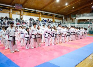 Formación y crecimiento en la Escuela Municipal de Taekwon-Do ITF
