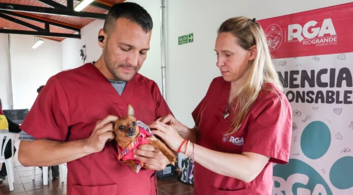 RGA Mascotera: Río Grande vivió una exitosa jornada de adopción y cuidado de mascotas