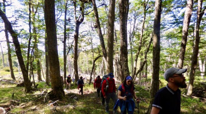 Con una gran convocatoria se inauguró el sendero de Trekking al Cerro Michi en la Reserva Provincial Laguna Negra