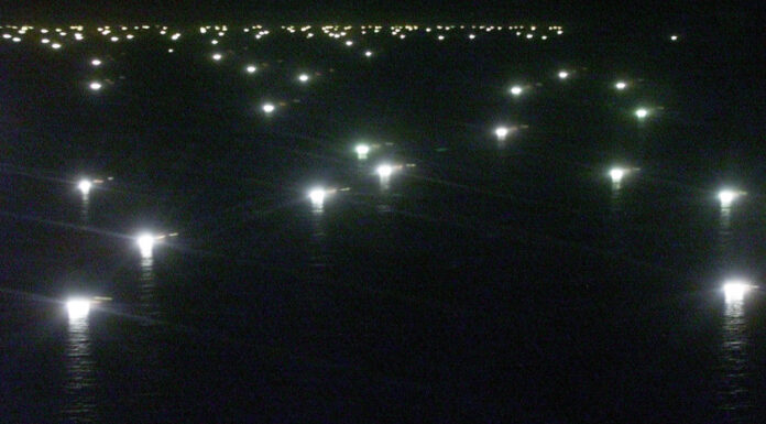 Depredación en el Atlántico Sur: Flotas extranjeras amenazan los recursos marinos argentinos