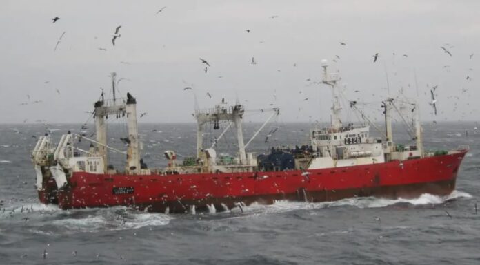 Newsan y Profand impulsan la renovación de la flota pesquera con una inversión millonaria