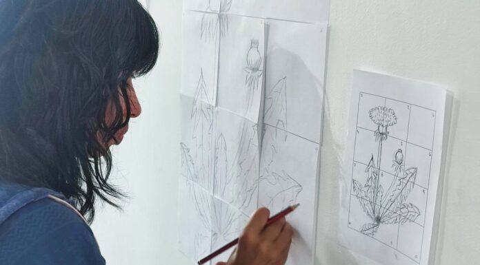 CulturaTdF: Inscripciones abiertas para los talleres anuales el Museo Fueguino de Arte