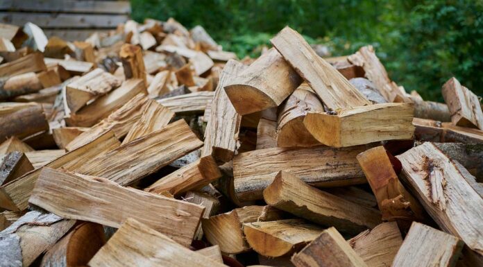 “Leña para tu Hogar”: vuelve el programa de asistencia para familias sin gas natural