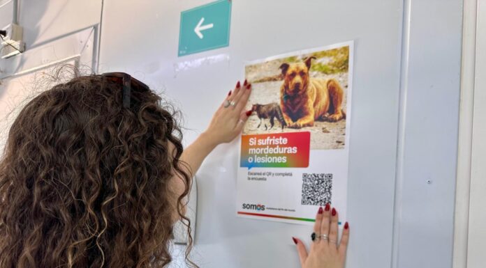 Habilitan herramienta digital para registrar mordeduras de perros y gatos en Tierra del Fuego