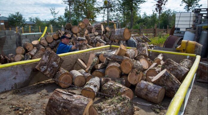 Insólito en tolhuin! El Concejo Deliberante declara a la leña como derecho humano