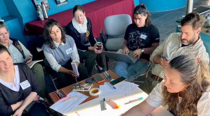 Tierra del Fuego refuerza su compromiso en la conservación de aves amenazadas