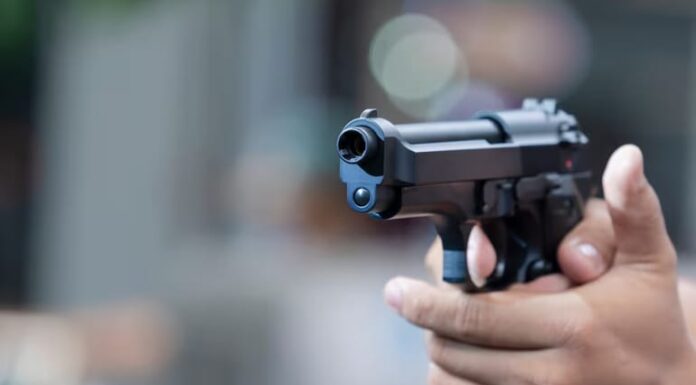 Crece la polémica por la digitalización del trámite para tener armas: llega “Tenencia Express”