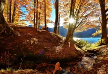 Tolhuin, el refugio natural que sorprende en el corazón fueguino