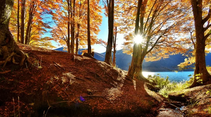 Tolhuin, el refugio natural que sorprende en el corazón fueguino