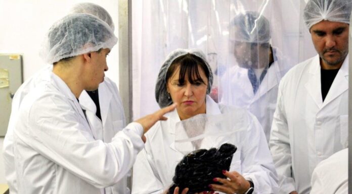 Tierra del Fuego consolida su matriz productiva con la exportación de centollón elaborado