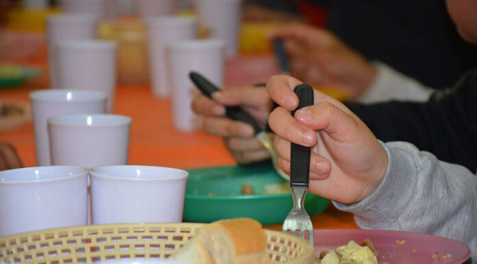 A través de diversos programas alimentarios asisten a más de 28 mil familias