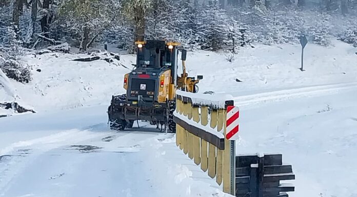 Operativo Invierno 2025: la DPV intensifica tareas de mantenimiento en rutas provinciales