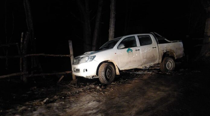 Camioneta oficial chocó contra un cerco en Ushuaia: el conductor estaba ebrio