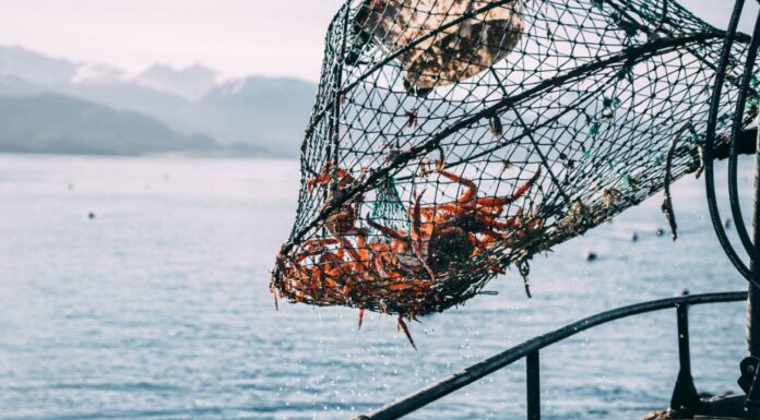 Fogadef expande su apoyo a las PyMEs con más garantías y nuevas alianzas bancarias