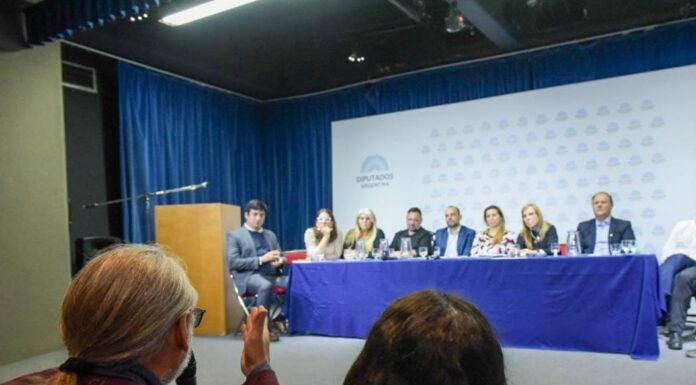 Alerta sanitaria federal: provincias exigen respuestas ante el colapso de la salud mental pública