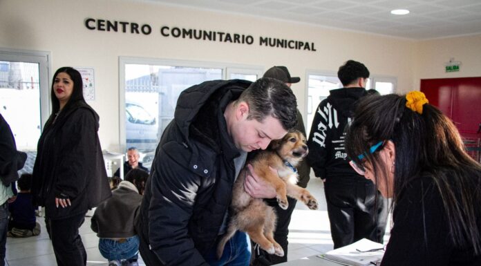 Compromiso y solidaridad: más de diez perros fueron adoptados en la última jornada responsable