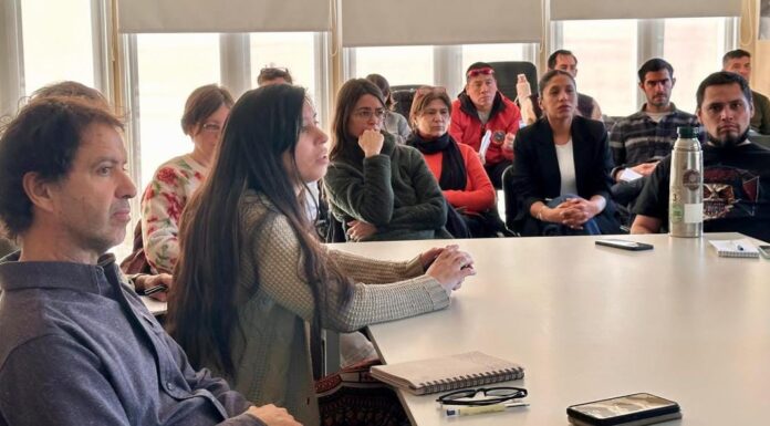 Tierra del Fuego avanza en la planificación del bosque nativo y define prioridades de financiamiento 2025