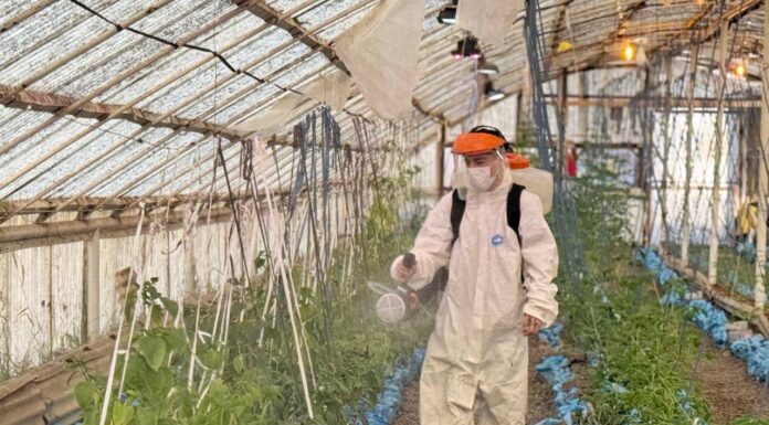 Avanzan los preparativos para la nueva temporada de producción agroecológica