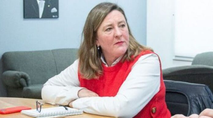 Ganadería patagónica en riesgo: la suspensión judicial del estatus sanitario pone en jaque exportaciones y producción