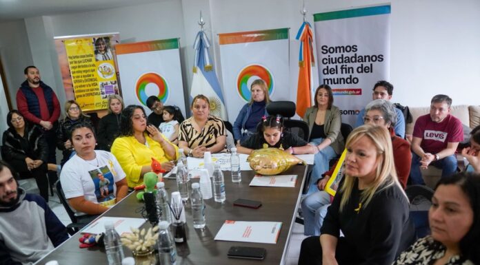 Presentaron la reglamentación de la Ley de Oncopediatría en Tierra del Fuego