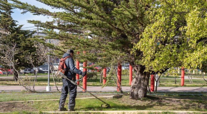 Avanzan los trabajos de embellecimiento en espacios públicos de río grande