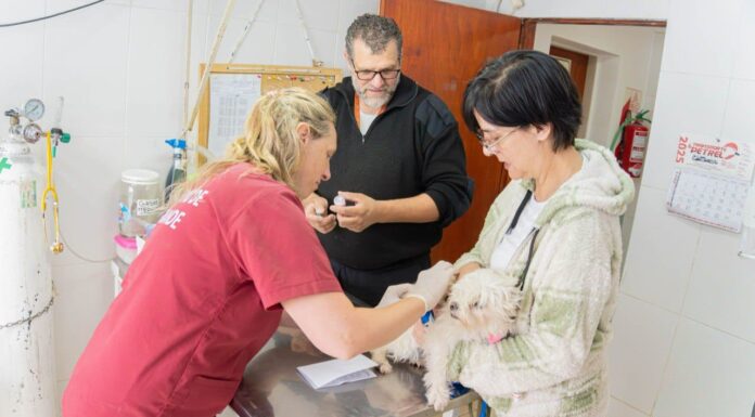 Nueva jornada gratuita de vacunación antirrábica