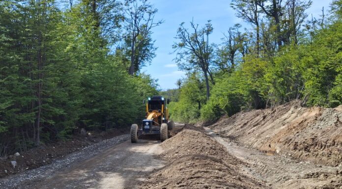 La DPV realiza mantenimiento de la Ruta Provincial 119 Reserva Forestal Bombilla