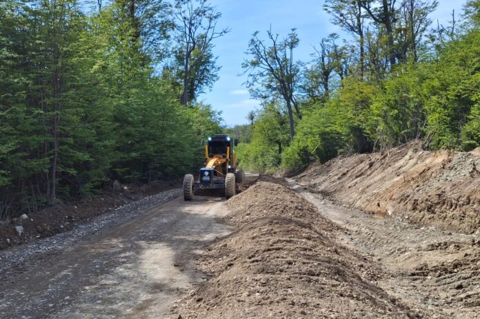 WhatsApp Image 2025-10-30 at 11.13.28