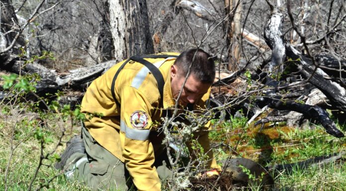 Avanzan las acciones de restauración y mejora en la Reserva Provincial Corazón de la Isla