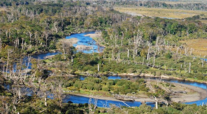 Se habilitó la temporada de visita al Área Natural Protegida Península Mitre