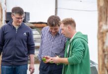 Melella visitó las instalaciones de Verdenova Patagonia SRL en Tolhuin