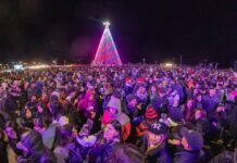 Fiesta, música y tradición en el encendido del Arbolito