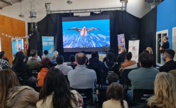 Moonbird, el vuelo que emociona y refleja la identidad de Tierra del Fuego