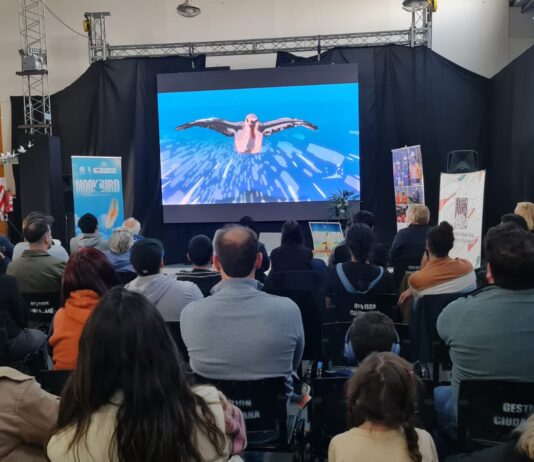 Moonbird, el vuelo que emociona y refleja la identidad de Tierra del Fuego