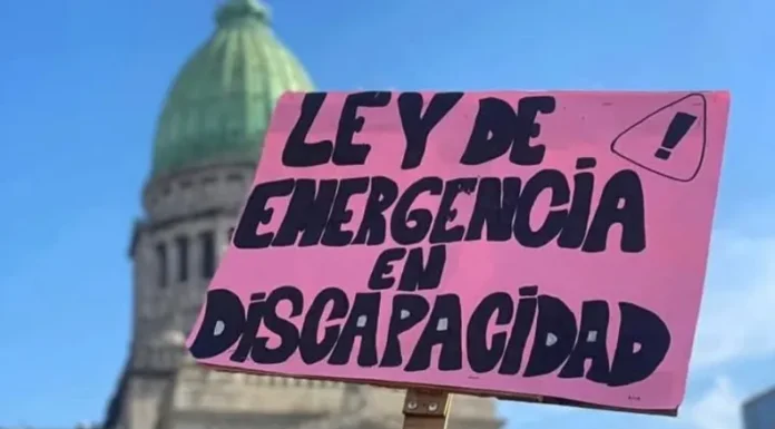 Ley de Emergencia en Discapacidad: El 4 de febrero es el plazo final para la implementación