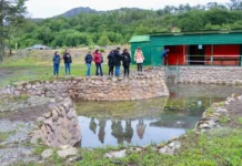 La Corte Suprema dio curso al reclamo de Roanmat por las Termas de Tolhuin
