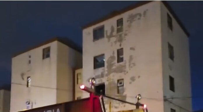 Chacra II: Principio de incendio en una vivienda de Río Grande