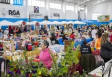 Feria de la Costanera: Una propuesta abierta para compartir y disfrutar al aire libre
