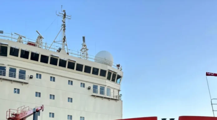 Científicos argentinos e internacionales investigan cetáceos a bordo “Almirante Irízar”