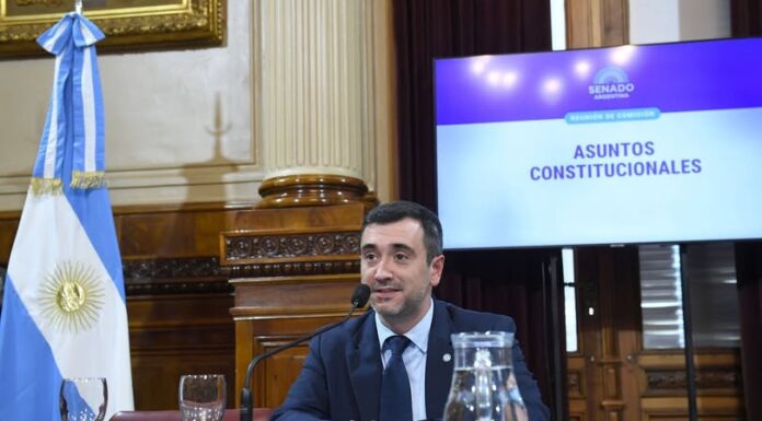 Coto asume al frente de una comisión clave del Senado